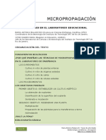 13 Micropropagacion Laboratorio Educacional PDF