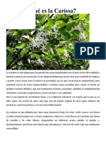 plantas usos y propiedades.docx