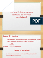 expo 1.pdf