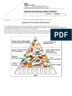 Guia Piranide Alimentaria