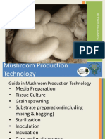 BGB Presentation Mushroom Production Technology-2017