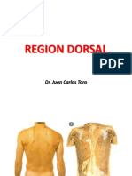 Region Dorsal y Nuca