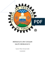 Salto Hidraulico.pdf