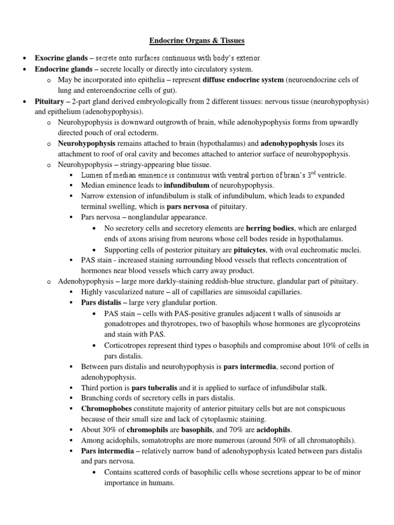 Overview of Endocrine Organs and Glands | PDF | Adrenal Gland | Thyroid