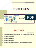 Proteus & Yersinia