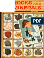5004 - Rocks and Minerals PDF