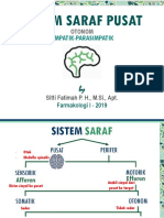 11 (3) SSP - Otonom