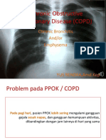 Chronic Obstructive Pulmonary Disease (COPD) : Chronic Bronchitis And/or Emphysema