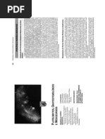 Platelmintos, Gnatostomulideos e Mesozoarios
