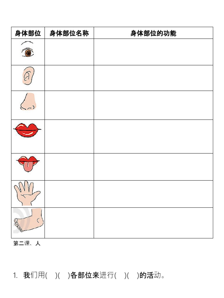 身体部位马来文