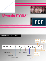 Fórmula Floral 2016 para Entorno