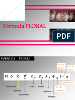 Fórmula floral: guía de simbología