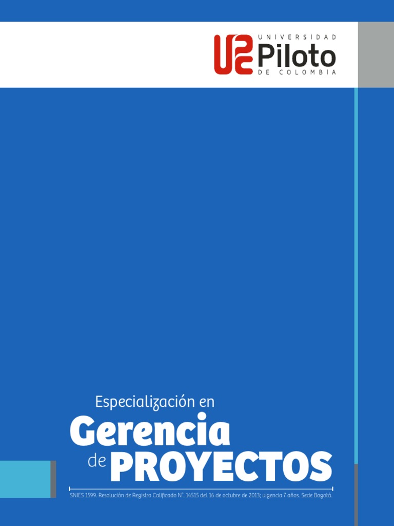 Piloto | PDF | Gestión de proyectos | Profesional en el manejo de proyectos