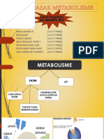 Metabolisme, Anabolisme, Katabolisme