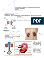 Fisio Renal Tema 3