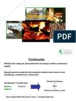 TPF_Combustão.pdf