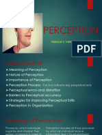 Perception: Person'S View of Reality