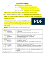 Cell Structures Functions Study Guide Key