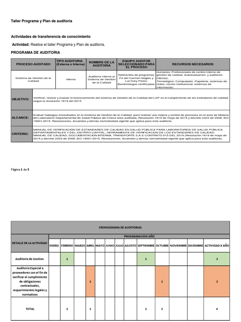 Taller Programa y Plan de Auditoría 2019 | PDF | Auditoría | Gestión de ...
