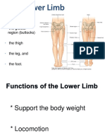 1 Lower Ex PPT Copy 1