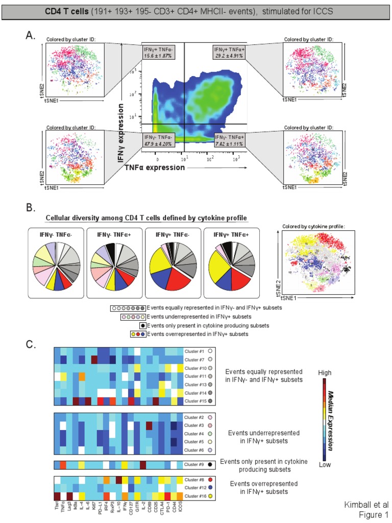 CD4 T Cell Cytokine Profile Analysis | PDF | Interferon Gamma | Tumor ...