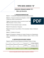 Tips Siho Anexo B PDF