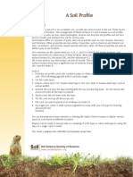 Soil Profile Lesson Plan