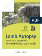 Lamb Autopsy