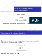 newton.pdf