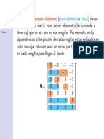Algebra Lineal Pivote PDF