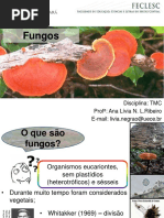 Aula 3 - Fungos.ppt