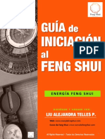 Guia de Iniciacion Al FENG SHUI