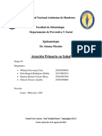 APS UNAH Atención Primaria en Salud Universidad Nacional Autónoma Honduras