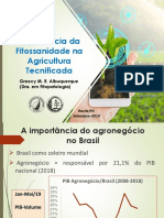 Importância Da Fitossanidade Na Agricultura Tecnificada