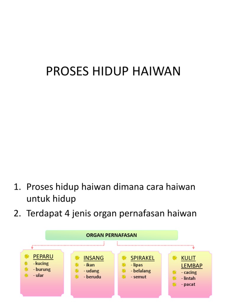 Soalan Sains Tahun 5 Pksr 2 Kssr