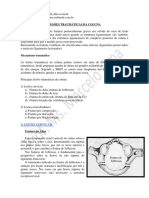 APOSTILA TRAUMA DA COLUNA 2012.2.pdf