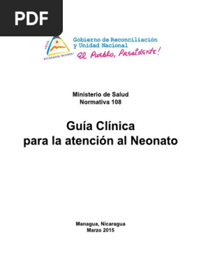 Normativa 108 Guia Neonato Pdf Infantes Parto