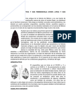 La Etapa Litica y Sus Peridodosla Etapa Litica y Sus Periodos