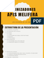 Presentación Apis Melifera