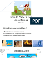 Ciclo de Matéria Nos Ecossistemas_2019