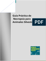 Guia pra_ctica de necropsia para animales silvestres.pdf