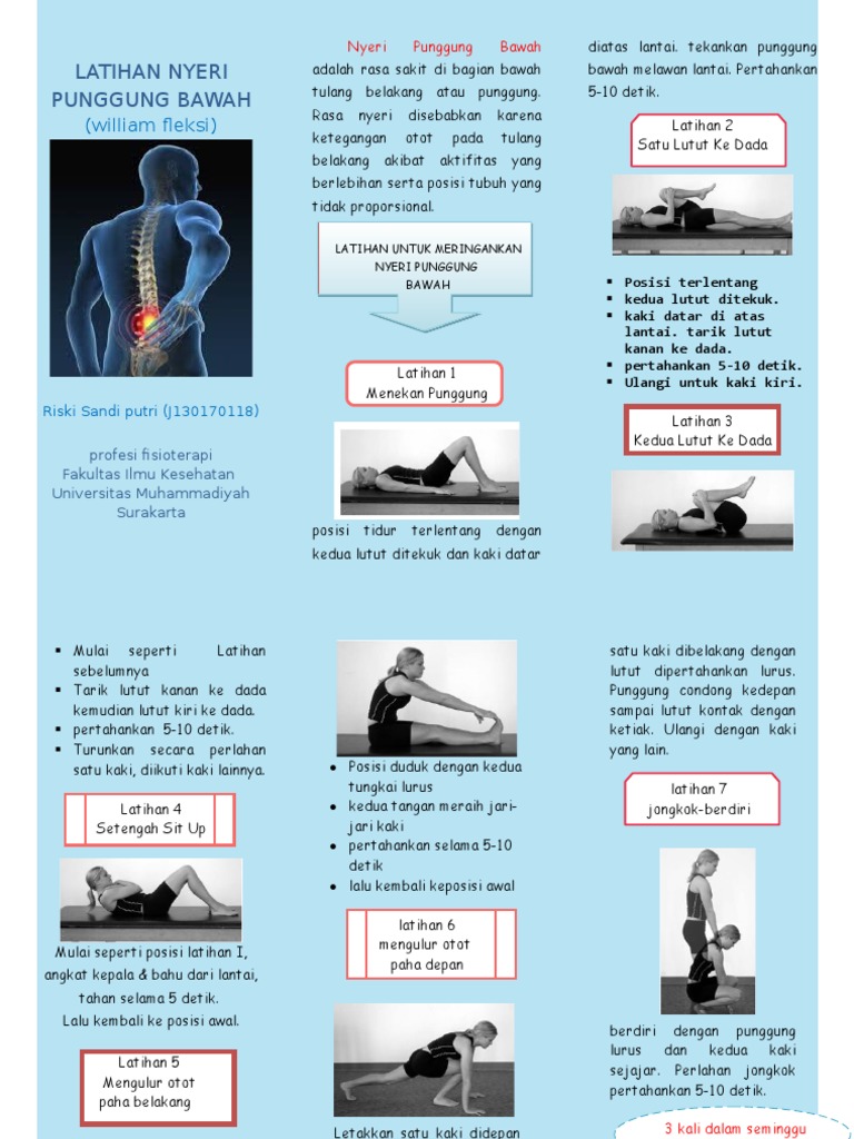 Leaflet William Fleksi Pdf