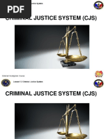 1.2 Criminal Justice System