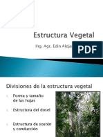 Presentacion Estructura Vegetal