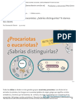 Células Eucariotas y Procariotas - ¿Sabrías Distinguirlas - Te Damos Las Claves