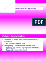 Horomones and cell signalling.ppt