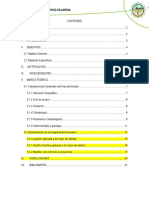 Desastre.trabajo Final