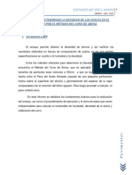 152023498-Densidad-de-Campo.docx