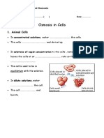 Osmosis in Cells Notes