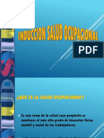 Induccion Presentacion Salud Ocupacional 2016
